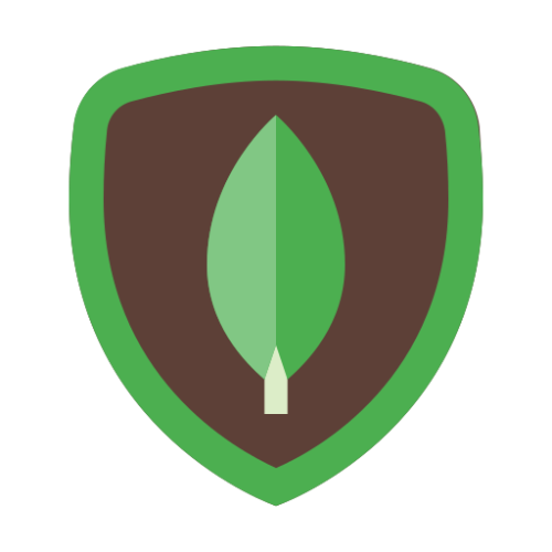 MongoDB - Ejento AI